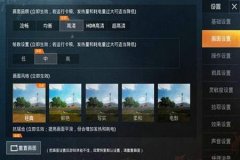 和平精英如何隐藏辅助（和平精英如何打开辅助）